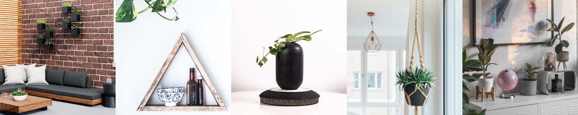 Зображення — Main a black vase with a plant on top