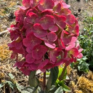 Зображення — Main Main