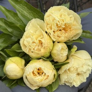 Зображення — Main Main