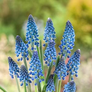 Зображення — Main Main