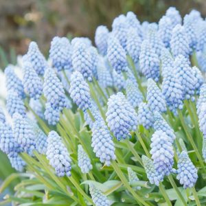 Зображення — Main Main